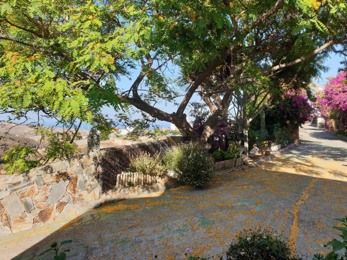 Finca Tropical Arico Viejo Kültér fotó