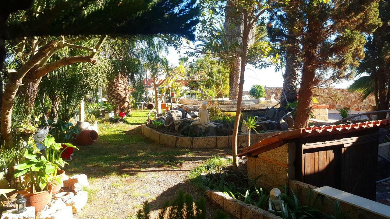 Finca Tropical Arico Viejo Kültér fotó