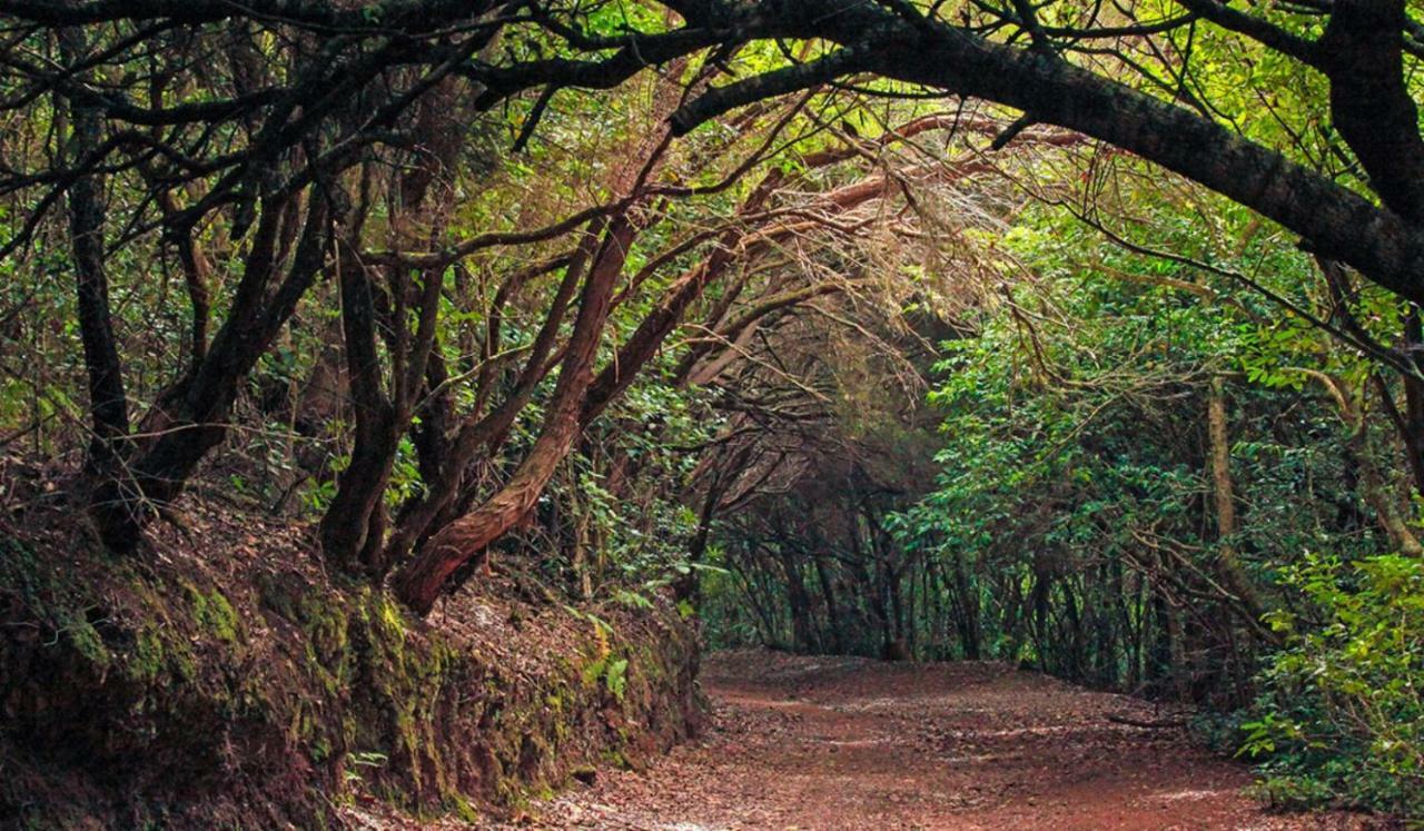 Finca Tropical Arico Viejo Kültér fotó